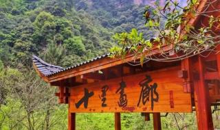 张家界景区门票 张家界景区门票