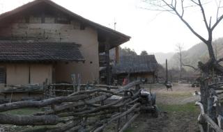 走着瞧文章 走着瞧文章