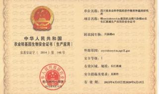 安全证书错误怎么办